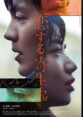 双生回路
